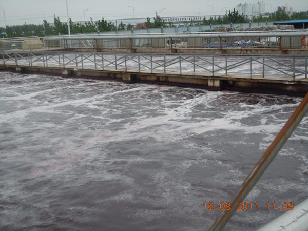 山东马陵纸业废水处理工程